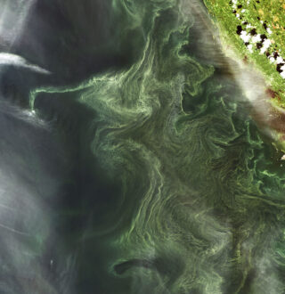 Maya Minder MICUL MICUL